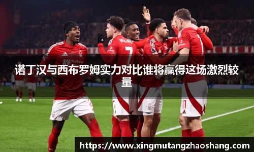 诺丁汉与西布罗姆实力对比谁将赢得这场激烈较量